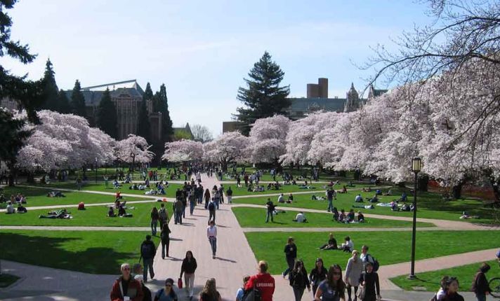 University of Washington Acceptance Rate